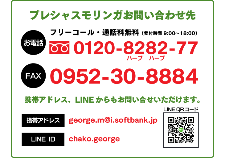 プレシャスモリンガインフォメーション お電話0120-8282-77、FAX0952-30-8884、携帯アドレスgeorge.m@i.softbank.jp、ラインID chako.georgeからお問合せいただけます。
